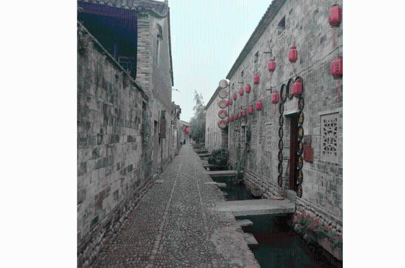 畅谈心声,畅游三金不刁照是什么意思?